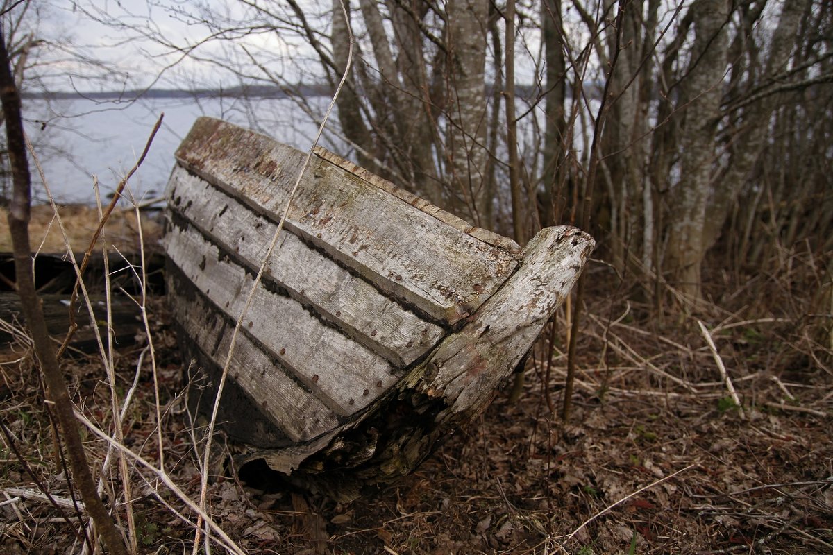 ...приплыли .... - Lelik Fotochronik