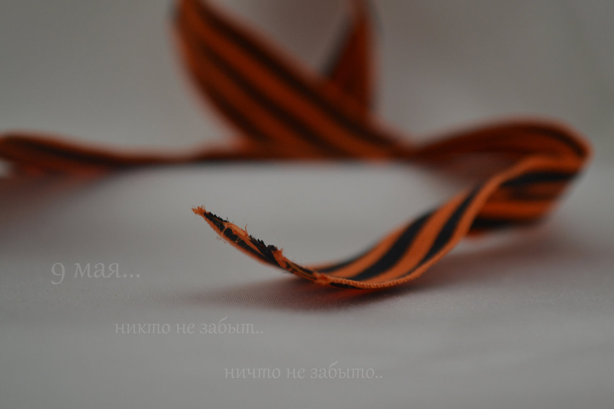 9 мая - Анастасия Любимова