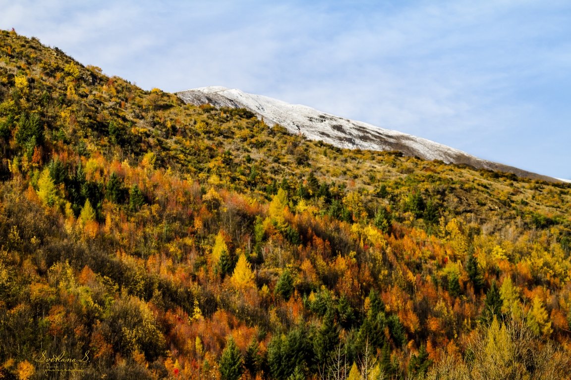 **** - Светлана Шакирзянова