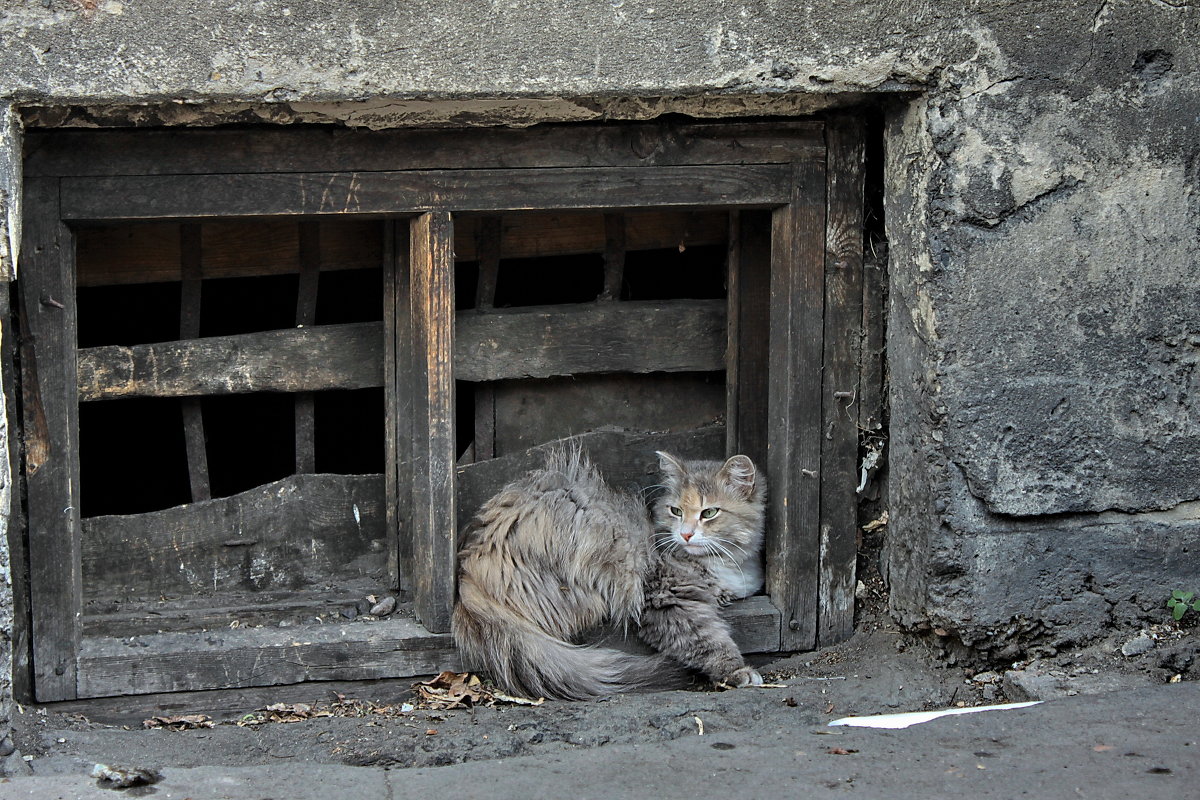 в доме, КОТорый построил.. - Сa Va