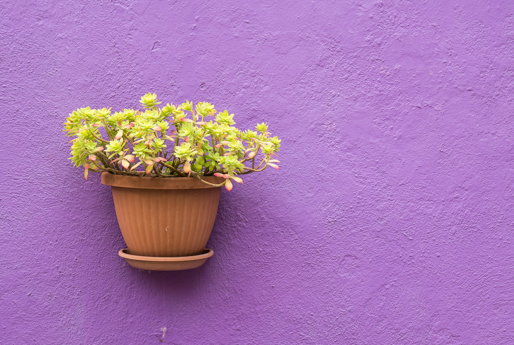 Colori di Burano.2 - Антон Смульский