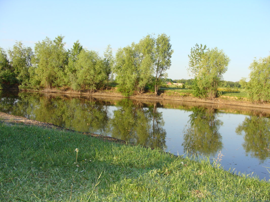 красота родного края - Наталья Меркулова