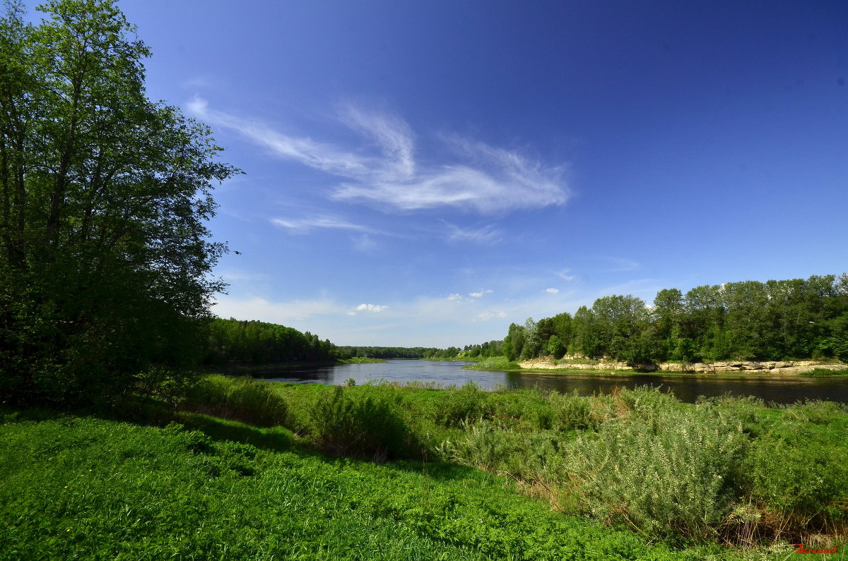 Фото Реки Луги