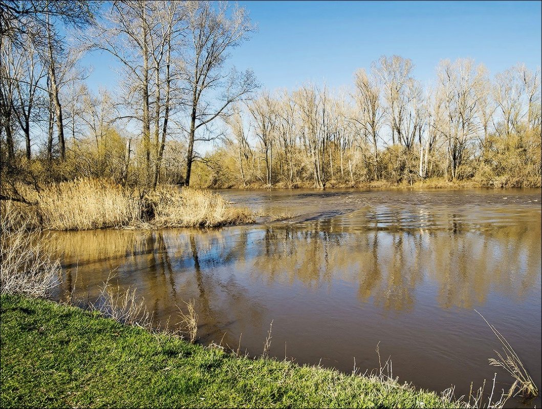 Отражение в мутной воде - Любовь Потеряхина