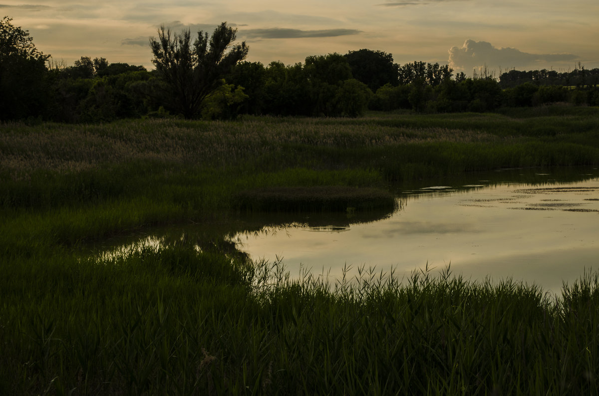 У озера... - АЛЛА Смирнова