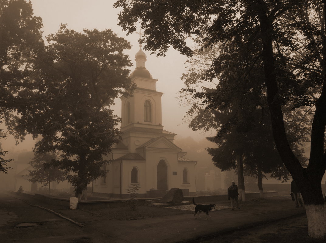 утро туманное - Людмила Селегенева