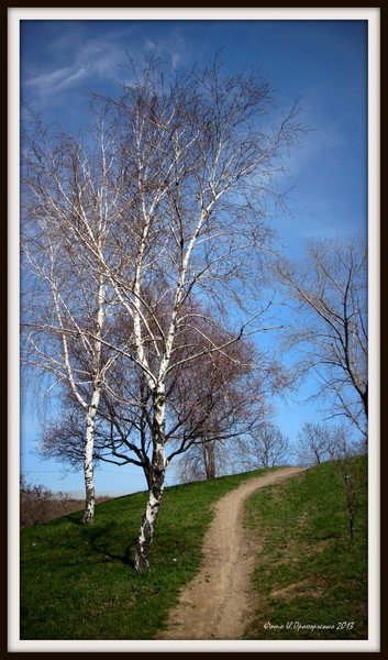 Тропинка. - Ирина Прохорченко