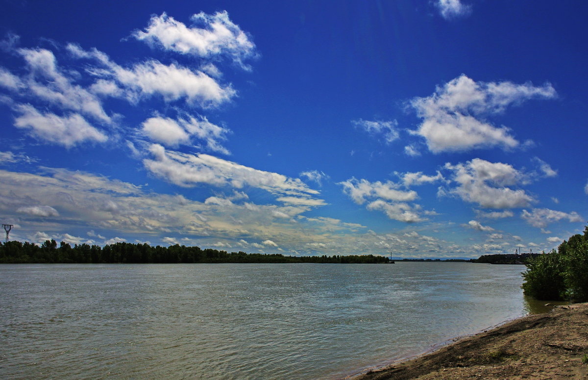 Ушла большая вода. Бия,8 июня 2014г. - Владимир Михайлович Дадочкин