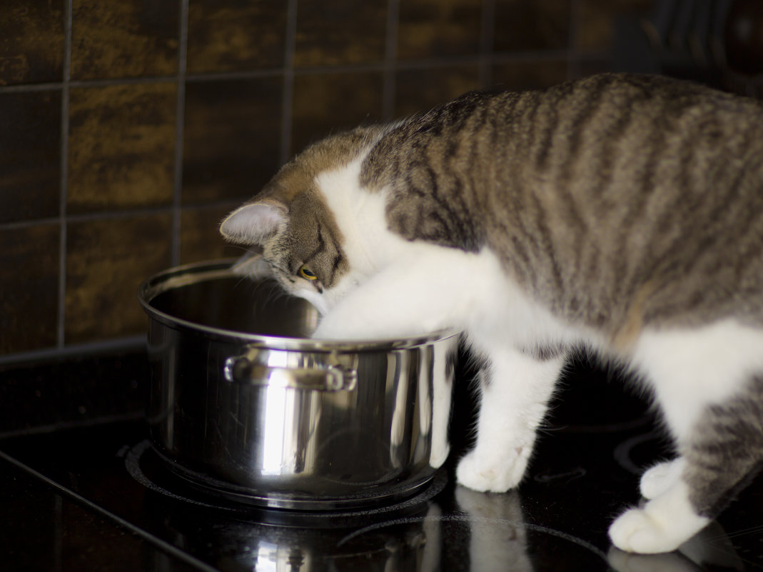 За секунду до п....лей.... - Larianna Holm За секунду до п....лей.... - Larianna Holm