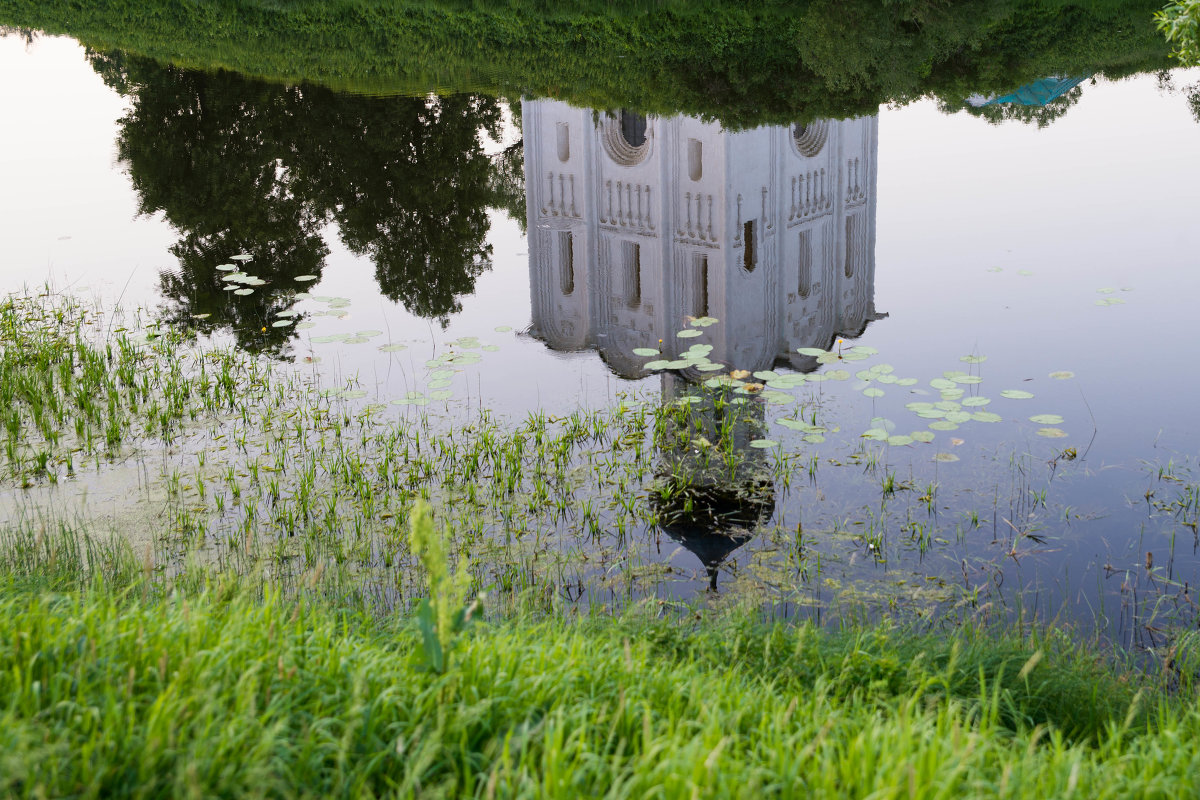 Отражение в Нерли - Иван Щербина Отражение в Нерли - Иван Щербина