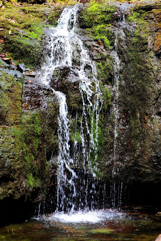 Кравцовские водопады. - Александр TS