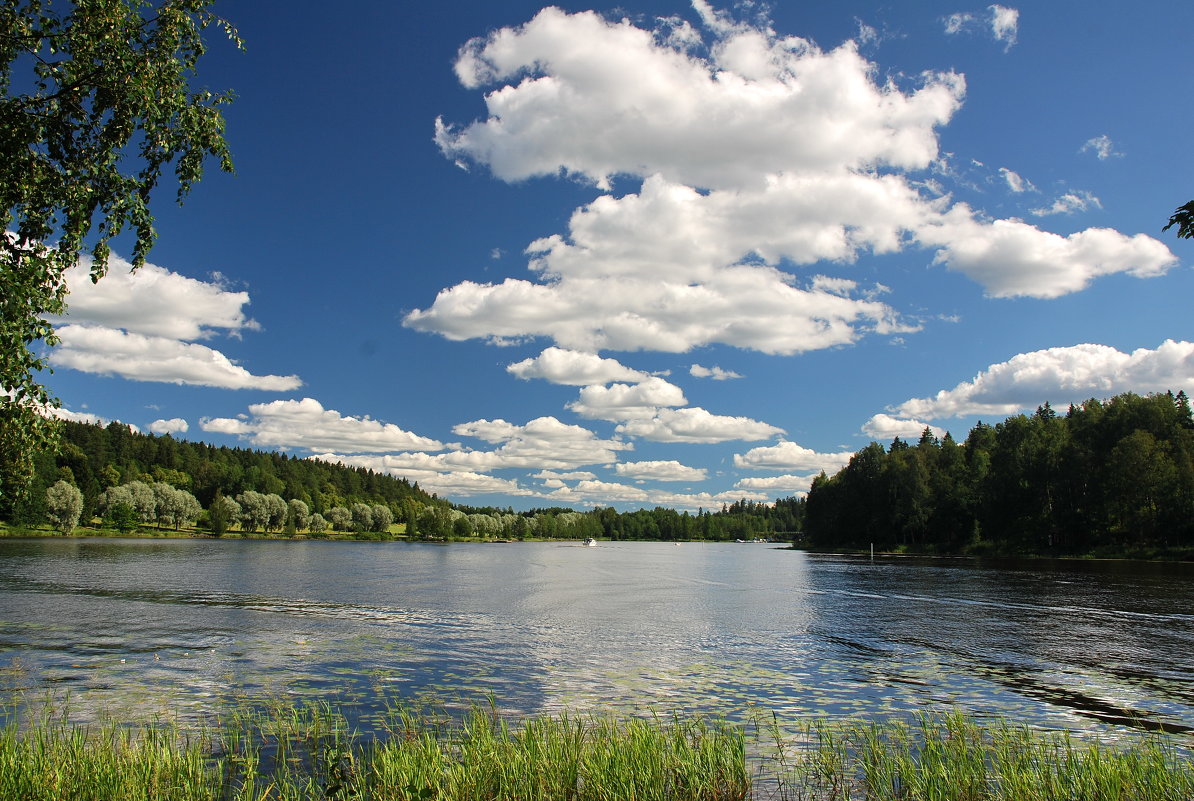 Водный пейзаж - Николай Танаев