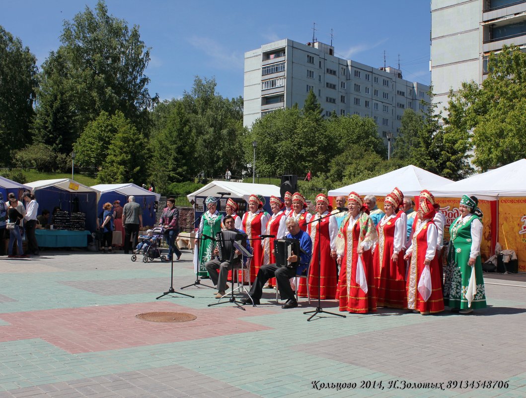 Культурная олимпиада НСО 2014 - Наталья Золотых-Сибирская