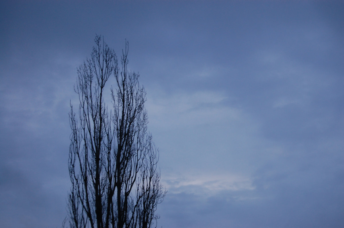 Синь - Светко Ова