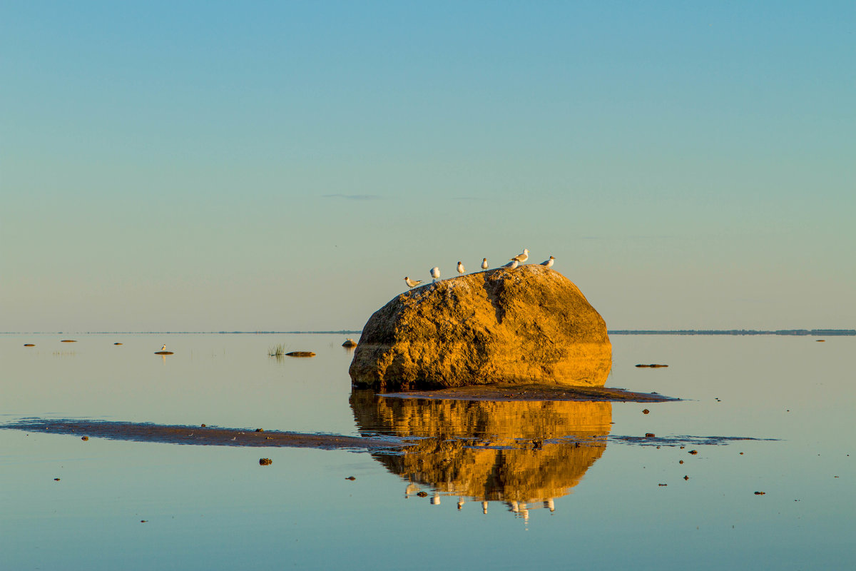камень - Roman Demidov камень - Roman Demidov