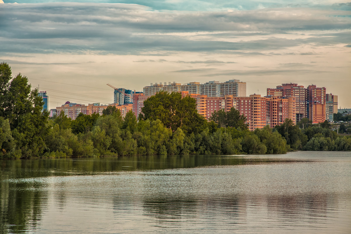 *** - Елена Черненко