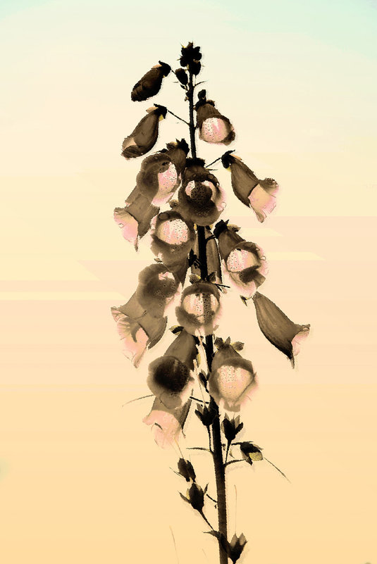 без названия - Иван Миронов