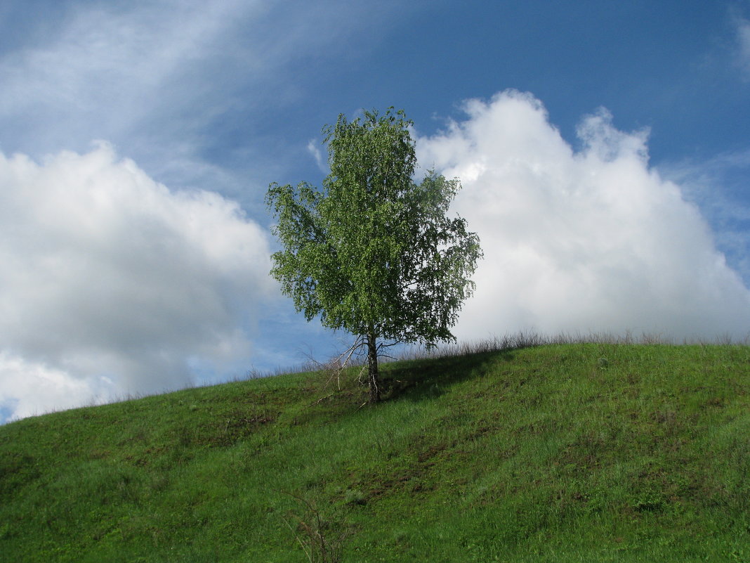 На семи ветрах. - Михаил Болдырев На семи ветрах. - Михаил Болдырев