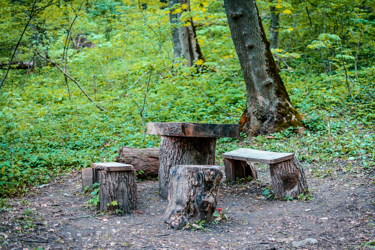 В парке - Alexey Bartenyev