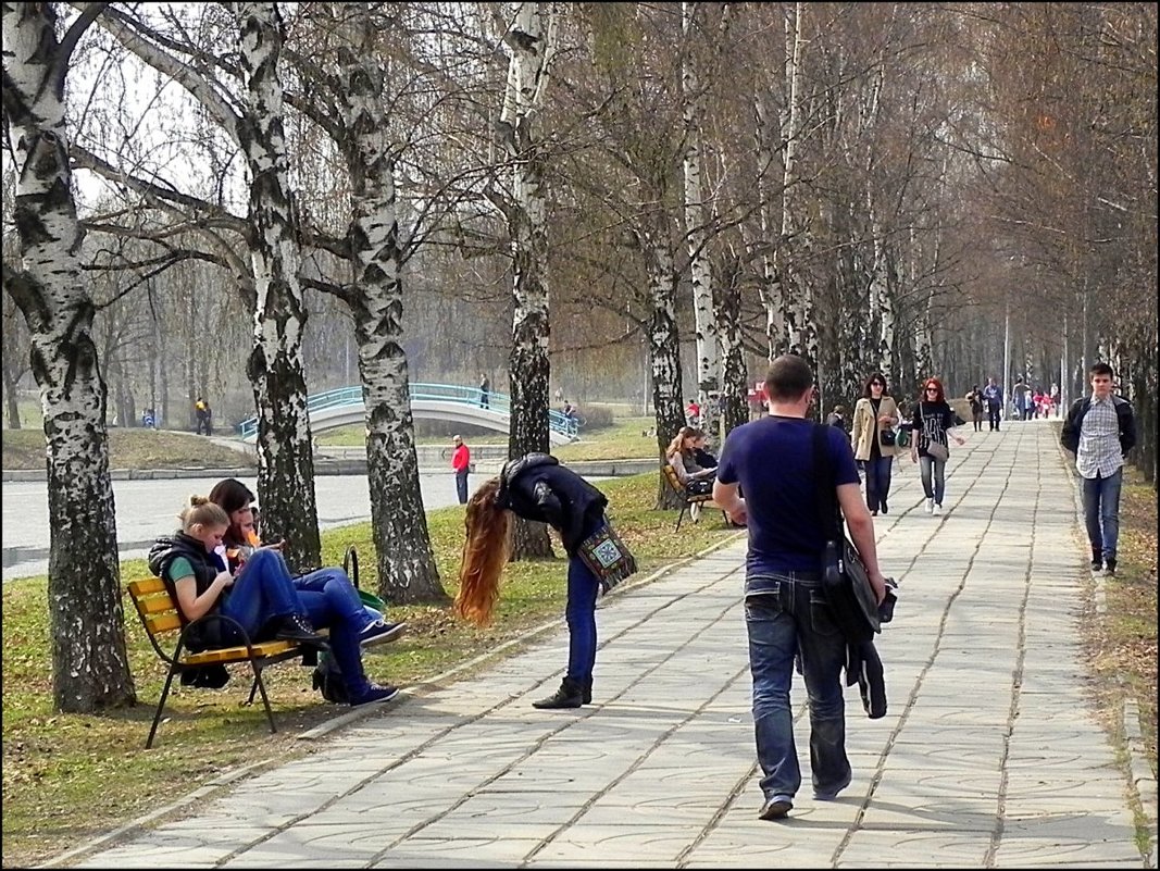 В парке на аллее - Анатолий Цыганок