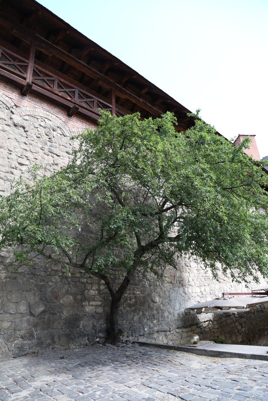 Родной город-115. - Руслан Грицунь Родной город-115. - Руслан Грицунь