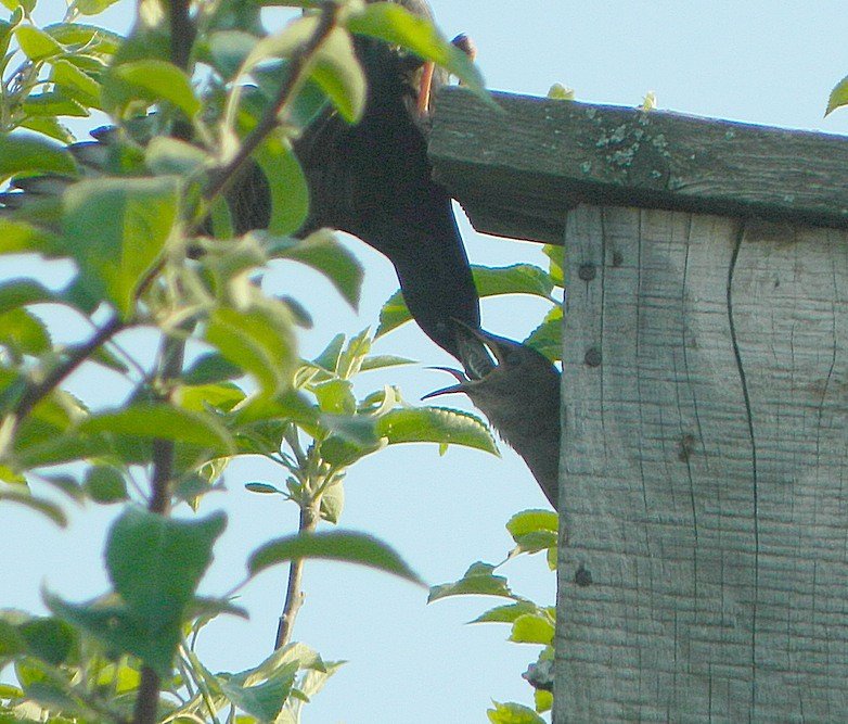 Мало! Неси ещё! - Ольга Бузунова
