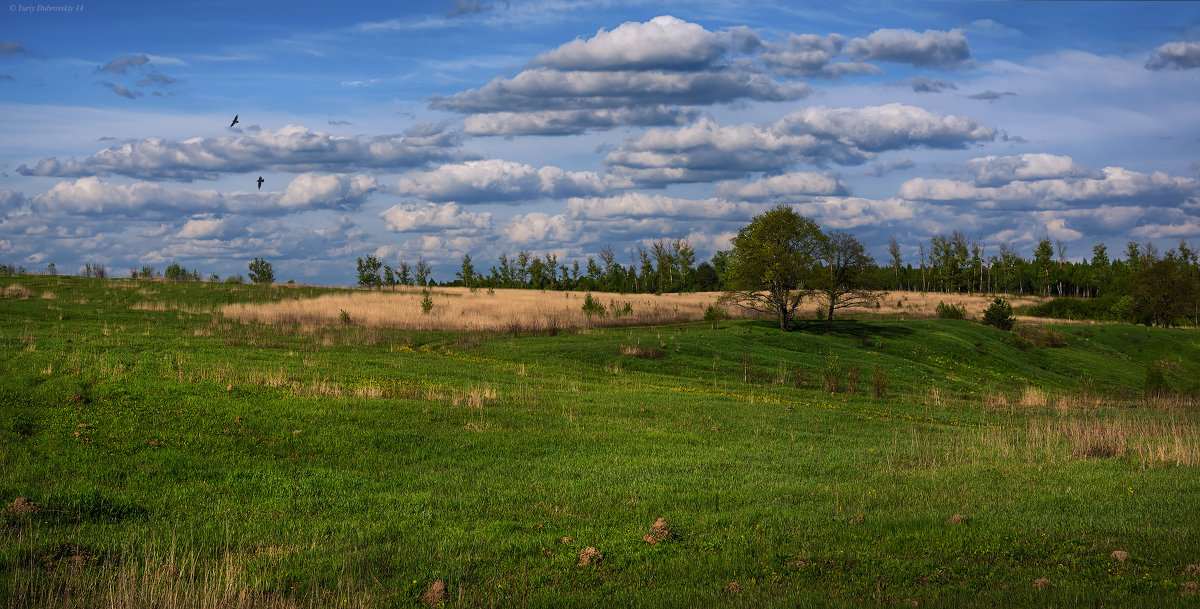 Оптина пустынь - Ю Д Оптина пустынь - Ю Д
