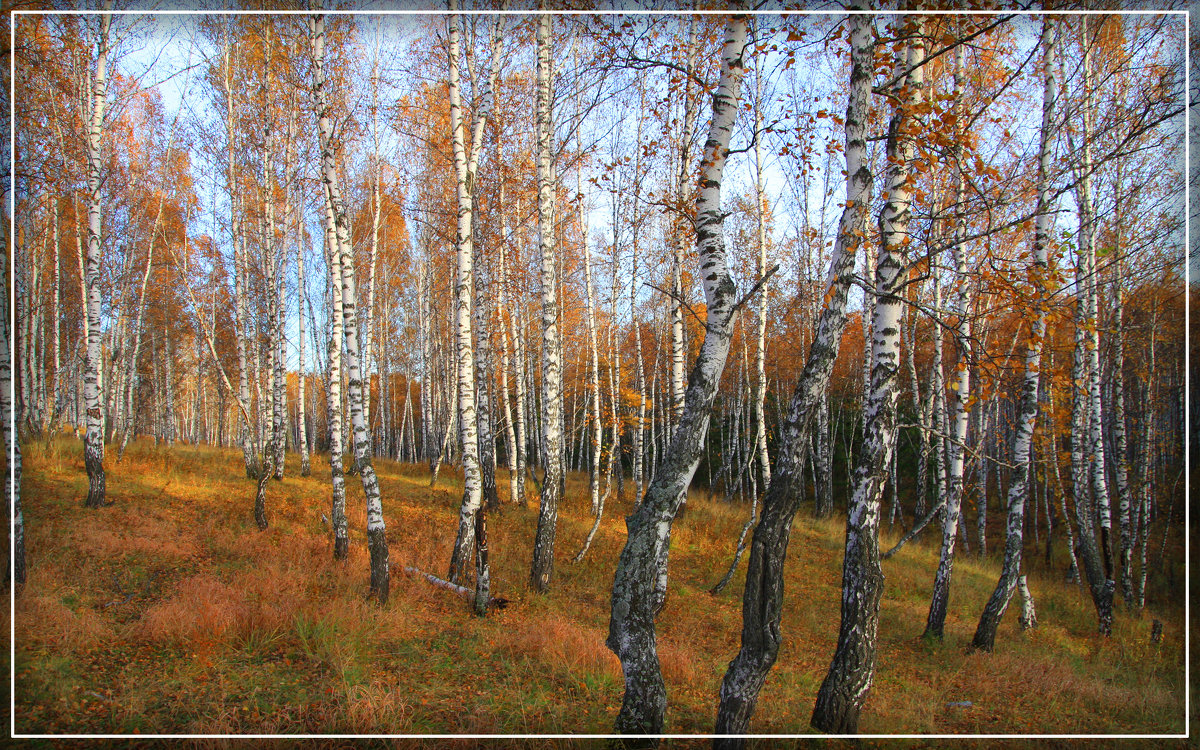 унылая пора - Александр 