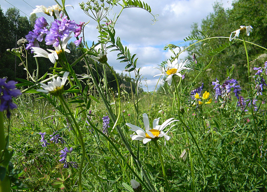 на природу! - Надежда на природу! - Надежда