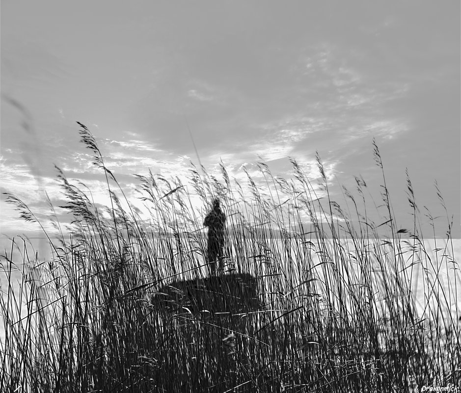 Рыбак - Михаил Лобов (drakonmick) Рыбак - Михаил Лобов (drakonmick)