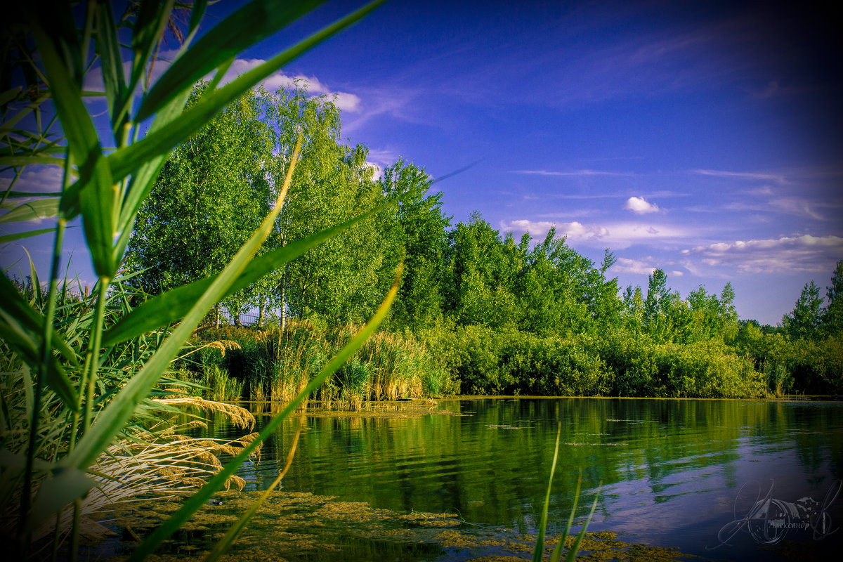 в прищуренных глазах сияет лето... =) - Александр Абакумов в прищуренных глазах сияет лето... =) - Александр Абакумов