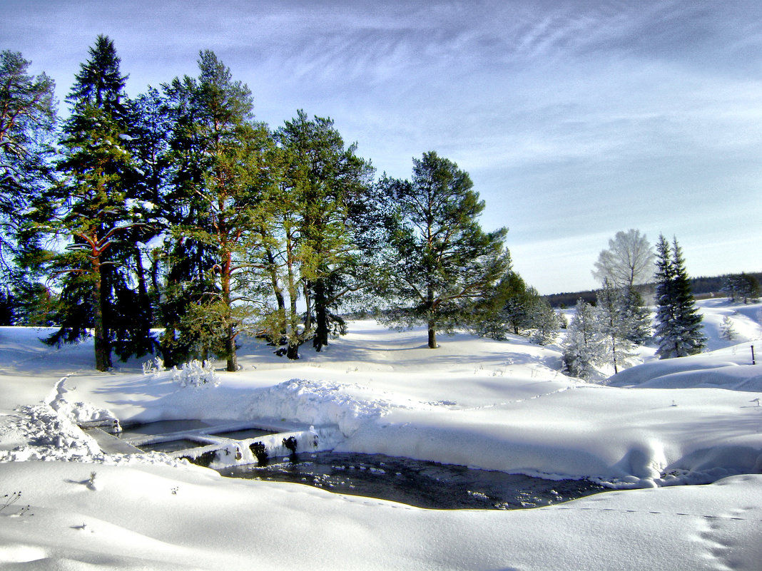 Немного морозной свежести - Татьяна Захарова