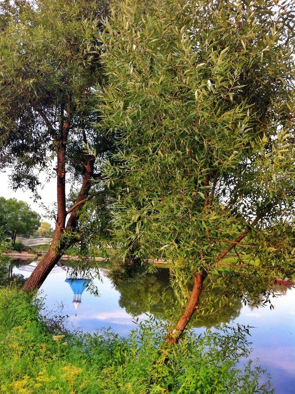 Подмосковье 3 - Ирина Бирюкова