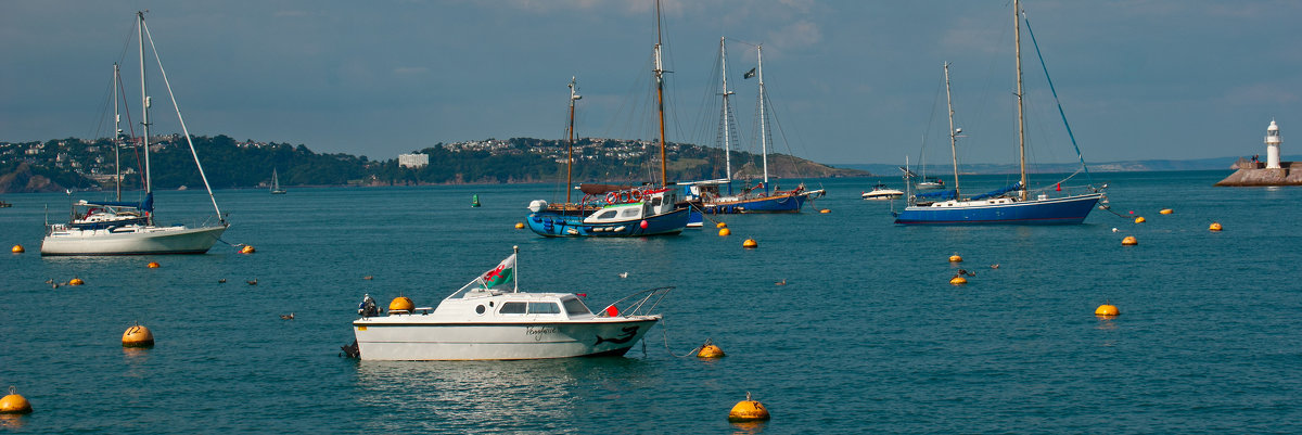 Brixham Marina - Дмитрий Сорокин