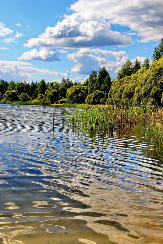 Под зноем дремлют берега... - Лесо-Вед (Баранов) Под зноем дремлют берега... - Лесо-Вед (Баранов)
