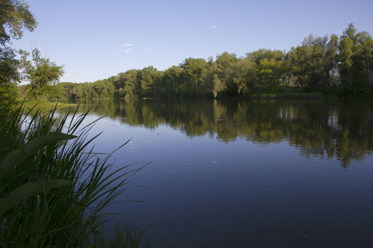 Пруд в парке - Юлия Пахомова