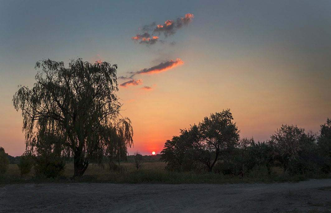 На рассвете. - Марина 