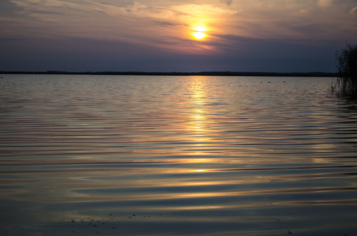 Закат на озере - Вера Кочергина