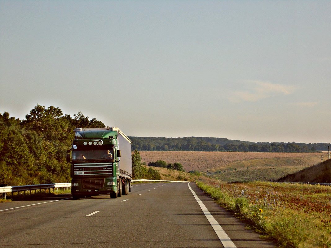 Куда бежишь,куда торопишься, дорога! - Виктория Войтович