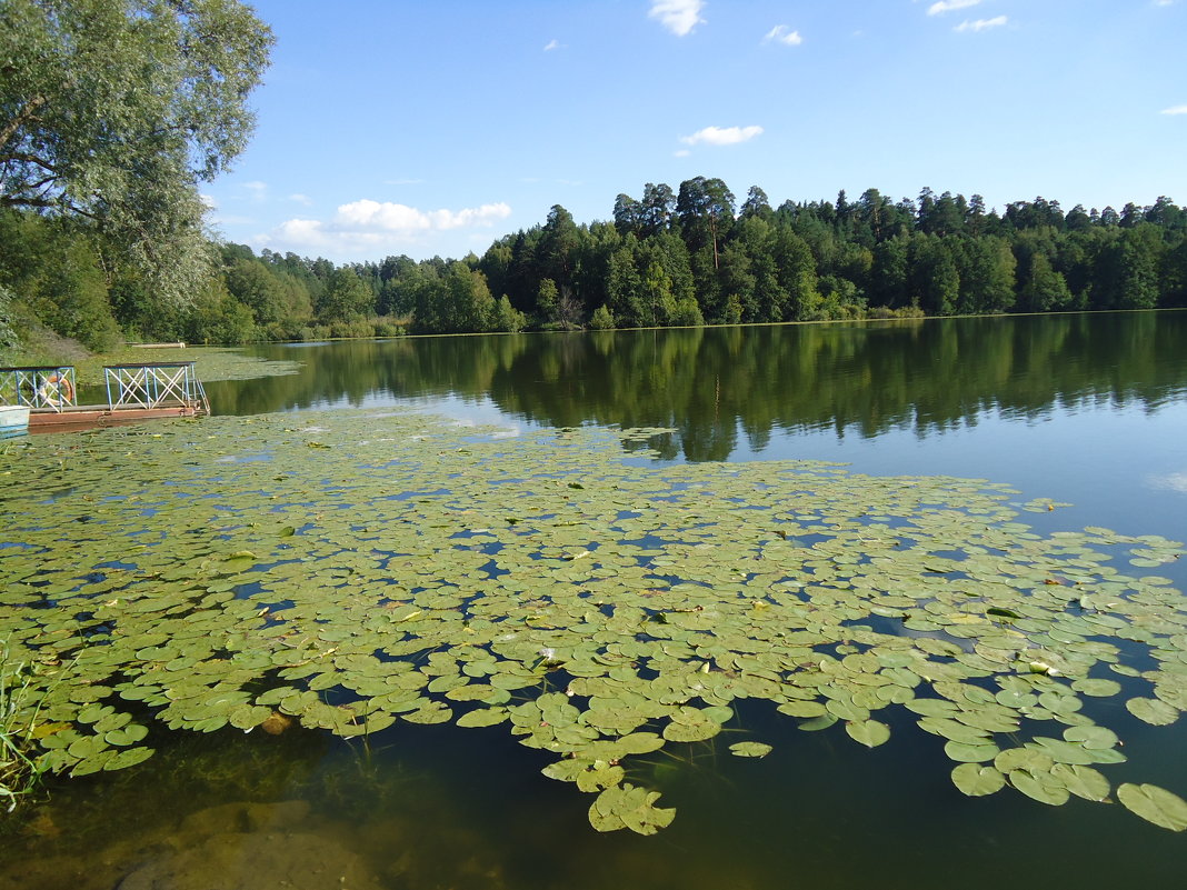 Озеро в Раифе - Юлия 