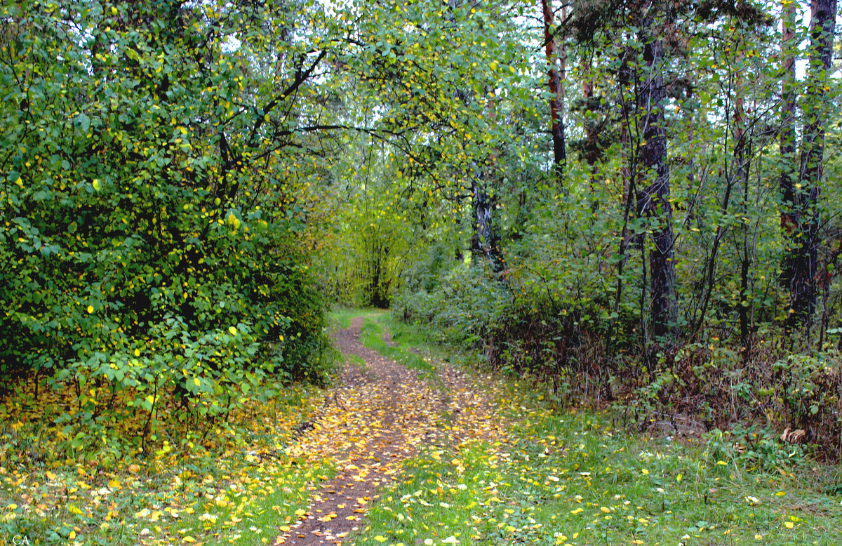 В сентябре - Александр Садовский