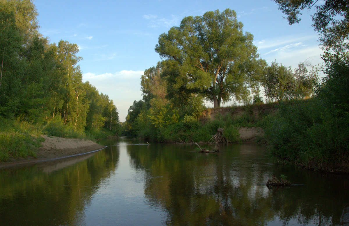 р.Лосиха - Михаил Кузнецов