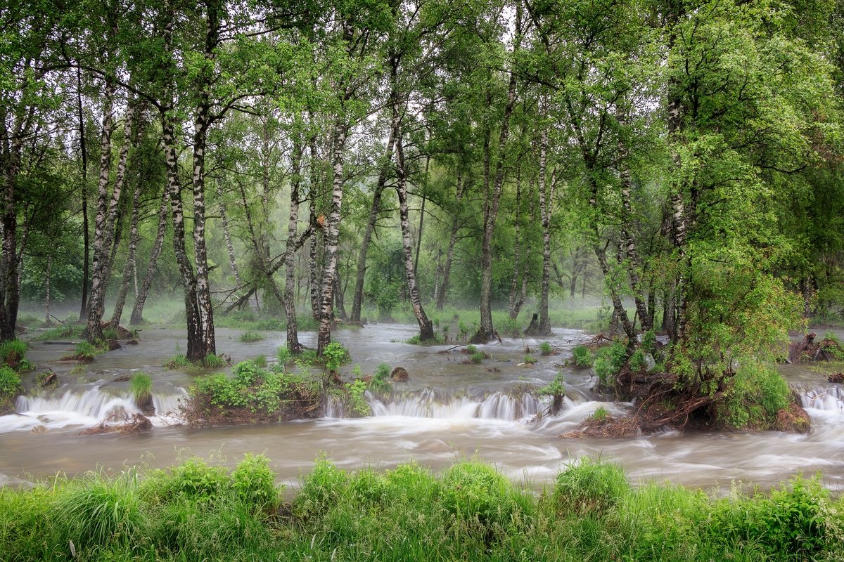 Когда много воды утекло... - Виктор Ковчин