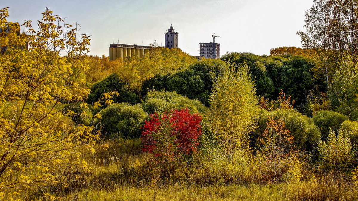 осень в городе - gribushko грибушко Николай