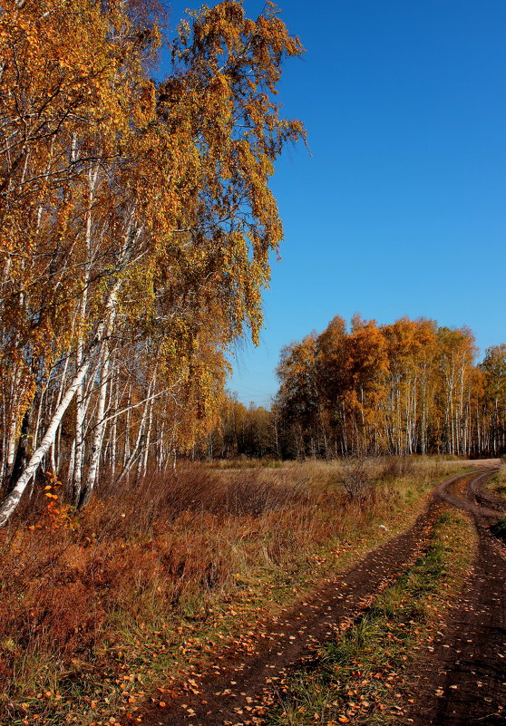 Осень... - Евгений 