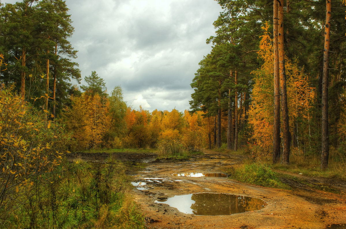 Дорогами осени - Олег Сонин