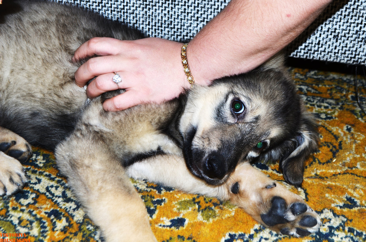 Куб - Виктория Большагина