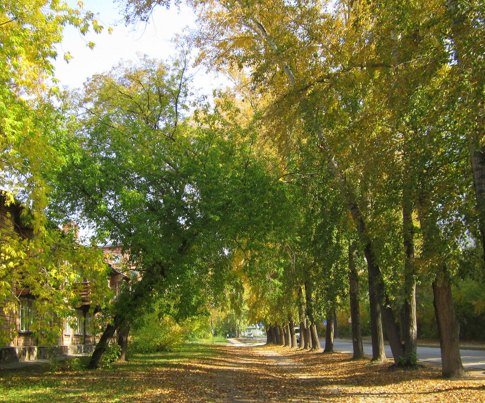 Осенняя городская улочка . - Мила Бовкун