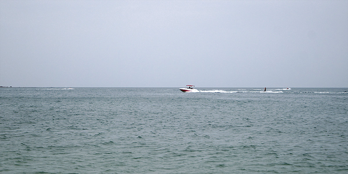 * * * - Alex * * * - Alex