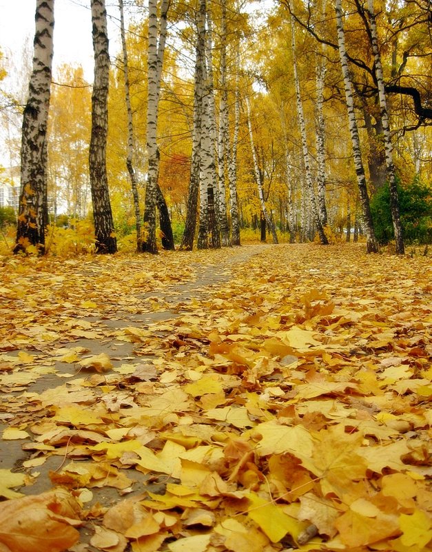 ...я ухожу в ту сказочную осень... - Лена L.